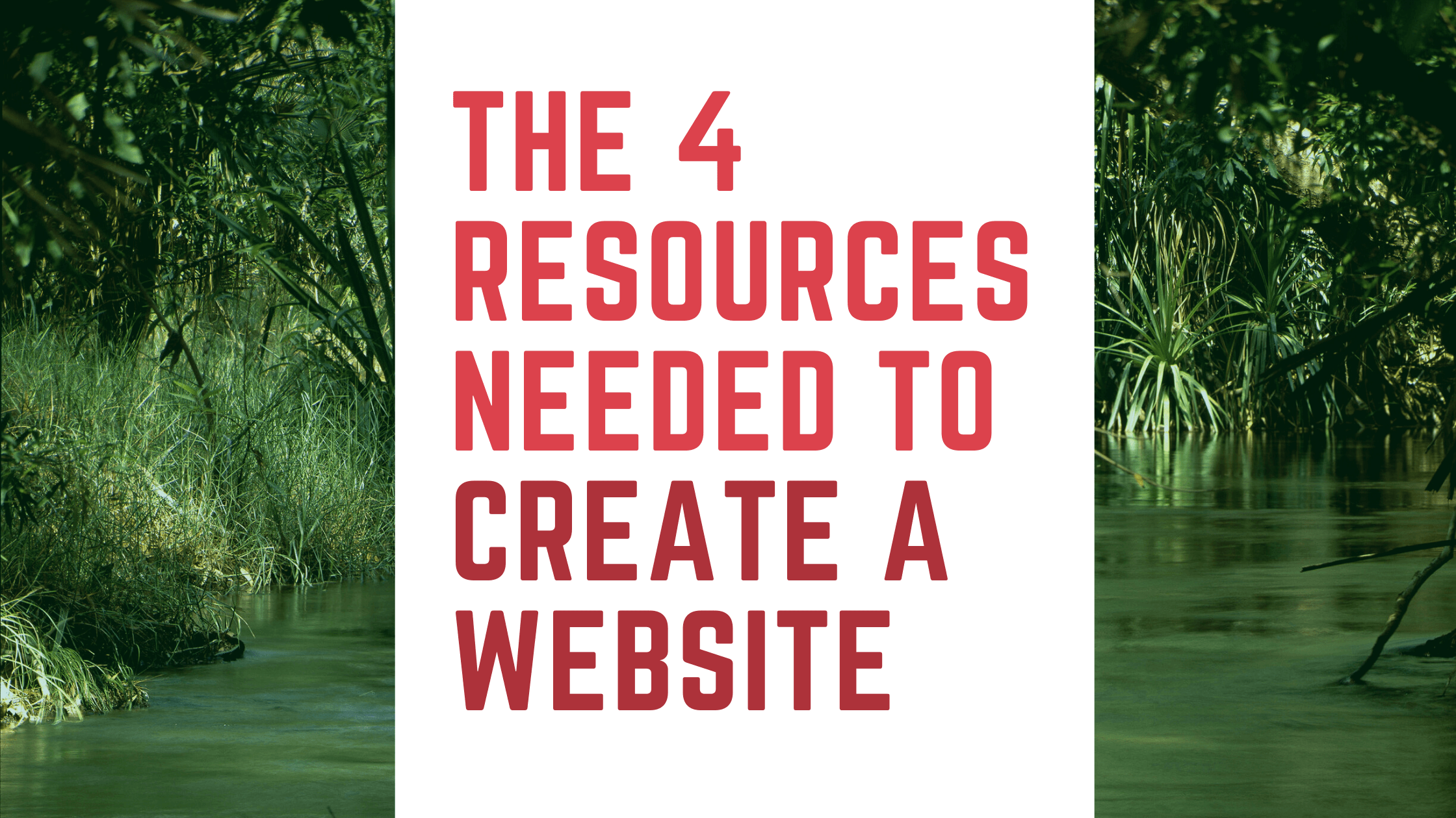 The 4 Resources Needed to Create a Website text on jungle background