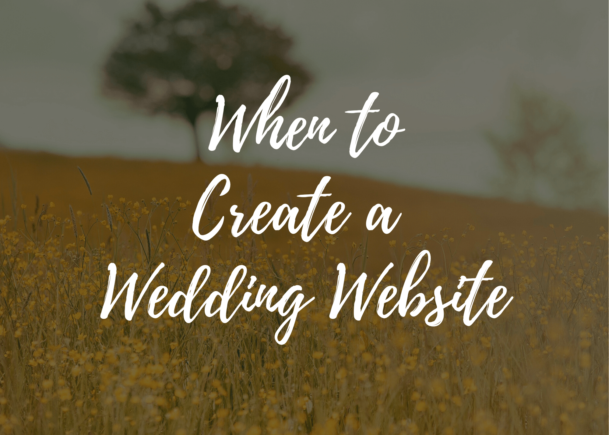 When to Create a Wedding Website text on field background